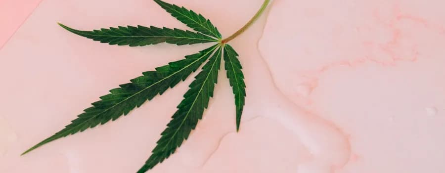 Balsam z konopi na co pomaga: 7 zaskakujących korzyści dla zdrowia